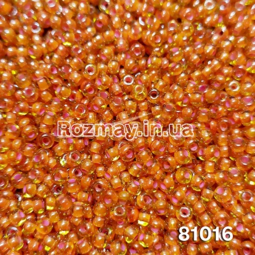 Бісер 81016