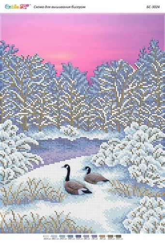 Качки біля озера 