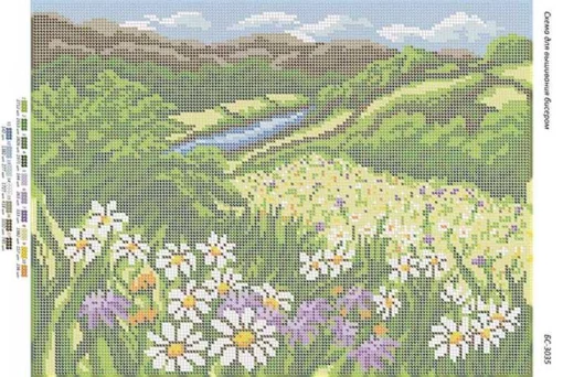 Ромашкове поле