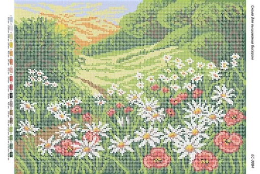 Польові квіти 